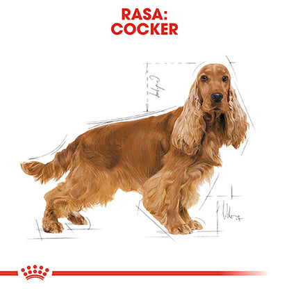 ROYAL CANIN BHN Cocker Adult 3kg