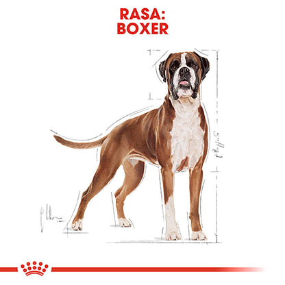 ROYAL CANIN BHN Boxer Adult 12kg