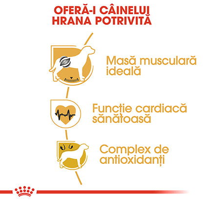 ROYAL CANIN BHN Boxer Adult 12kg