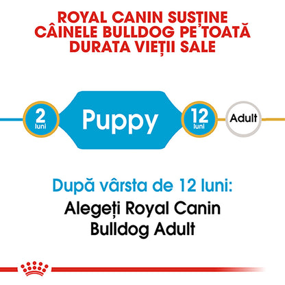 ROYAL CANIN BHN Bulldog Puppy 3kg
