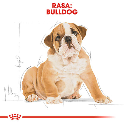 ROYAL CANIN BHN Bulldog Puppy 3kg