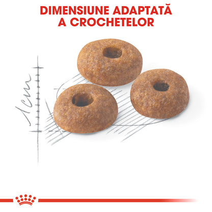 ROYAL CANIN FHN Fit 32