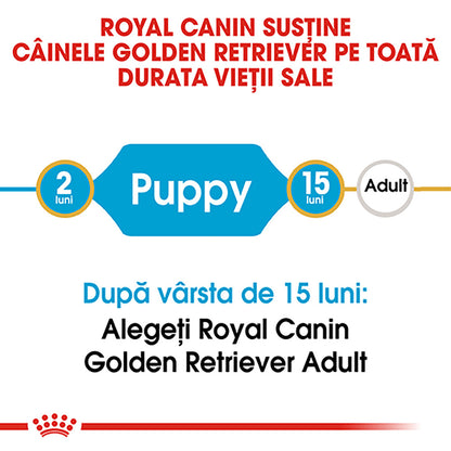 ROYAL CANIN BHN Golden Retriever Puppy