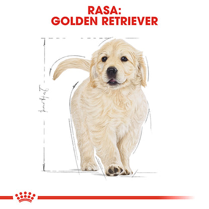 ROYAL CANIN BHN Golden Retriever Puppy