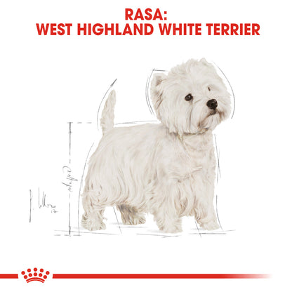 ROYAL CANIN BHN West Highland White Terrier Adult