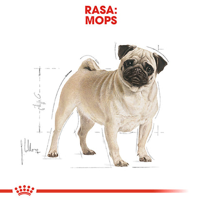 ROYAL CANIN BHN Mops (Pug) Adult 1,5kg