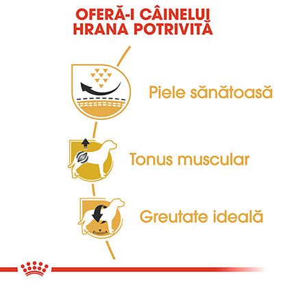 ROYAL CANIN BHN Mops (Pug) Adult 1,5kg