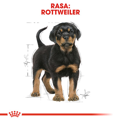 ROYAL CANIN BHN Rottweiler Puppy 12kg