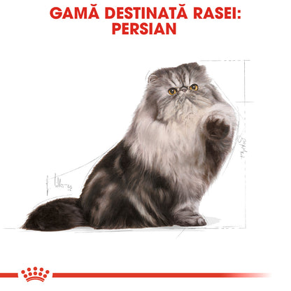 ROYAL CANIN FBN Persian 30