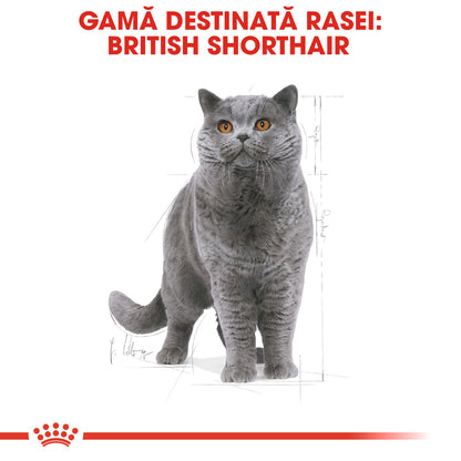 ROYAL CANIN FBN British Shorthair