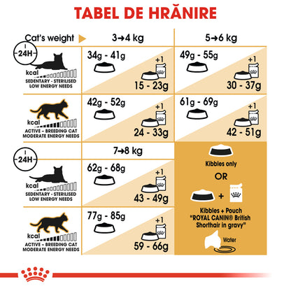 ROYAL CANIN FBN British Shorthair