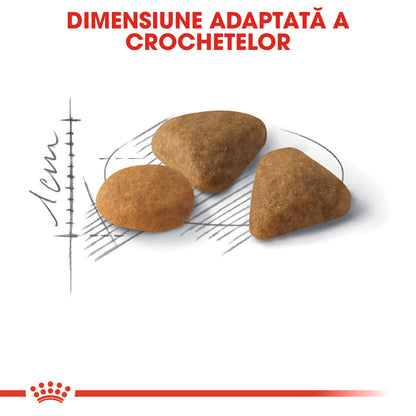 ROYAL CANIN FHN Exigent Savour