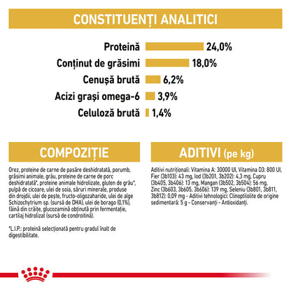 ROYAL CANIN BHN Maltese Adult