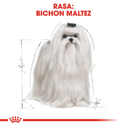 ROYAL CANIN BHN Maltese Adult