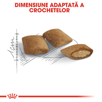 ROYAL CANIN FHN Ageing +12 Hrană uscată pentru pisici senioare