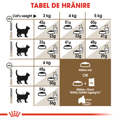 ROYAL CANIN FHN Ageing +12 Hrană uscată pentru pisici senioare