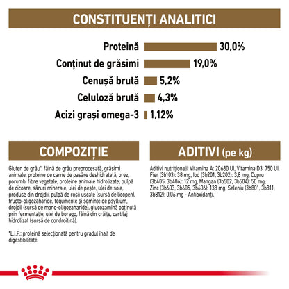 ROYAL CANIN FHN Ageing +12 Hrană uscată pentru pisici senioare