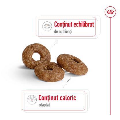 ROYAL CANIN SHN Mini Ageing +12 1,5kg