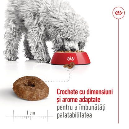 ROYAL CANIN SHN Mini Ageing +12 1,5kg