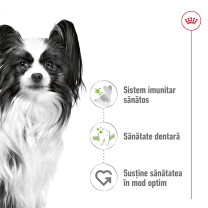ROYAL CANIN SHN X-Small Adult