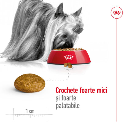 ROYAL CANIN SHN X-Small Adult