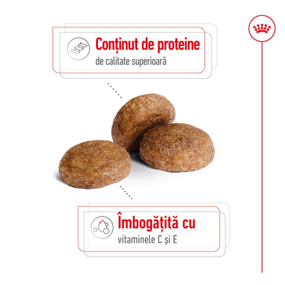 ROYAL CANIN SHN Medium Adult 7+ (vârsta peste 7 ani) 4kg