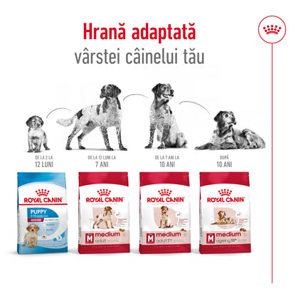 ROYAL CANIN SHN Medium Adult 7+ (vârsta peste 7 ani) 4kg