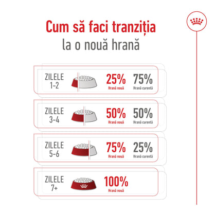 ROYAL CANIN SHN Maxi Adult 5+