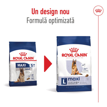 ROYAL CANIN SHN Maxi Adult 5+