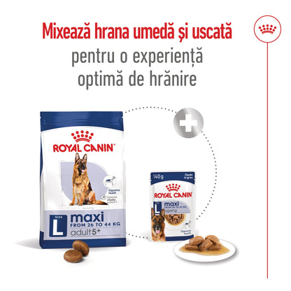 ROYAL CANIN SHN Maxi Adult 5+