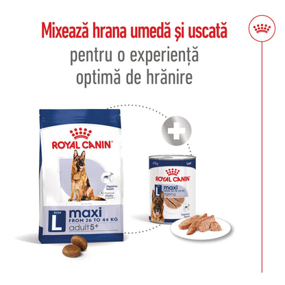 ROYAL CANIN SHN Maxi Adult 5+