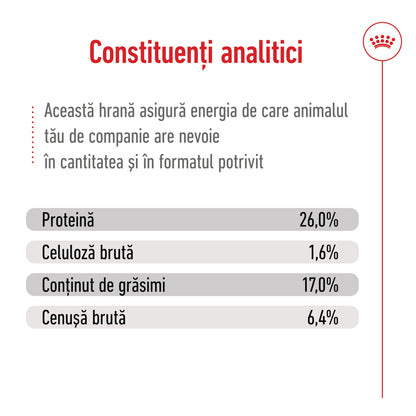 ROYAL CANIN SHN Maxi Adult 5+