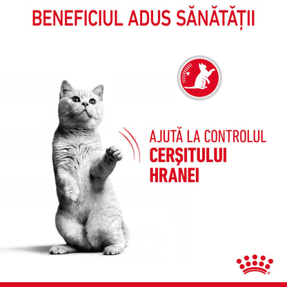 ROYAL CANIN FCN Appetite Control, Hr uscată pentru pisici adulte