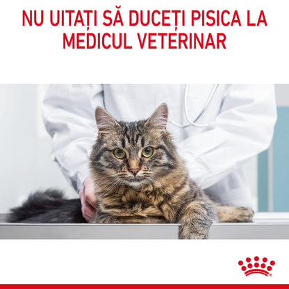 ROYAL CANIN FCN Appetite Control, Hr uscată pentru pisici adulte