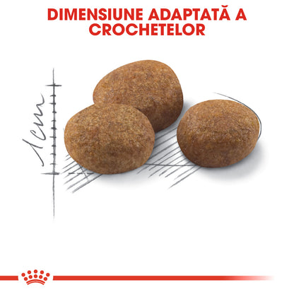 ROYAL CANIN FHN Sterilised +7 pentru pisici senioare 1,5 kg
