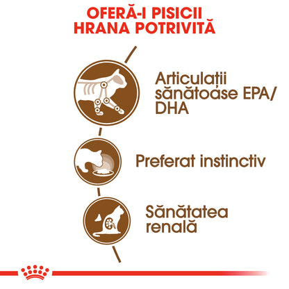 ROYAL CANIN FHN Ageing +12 Plic pentru pisici SENIOARE 85g