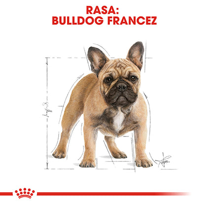 ROYAL CANIN BHN French Bulldog Adult