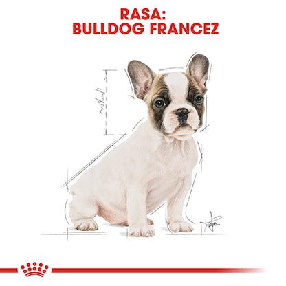 ROYAL CANIN BHN French Bulldog Puppy 3kg