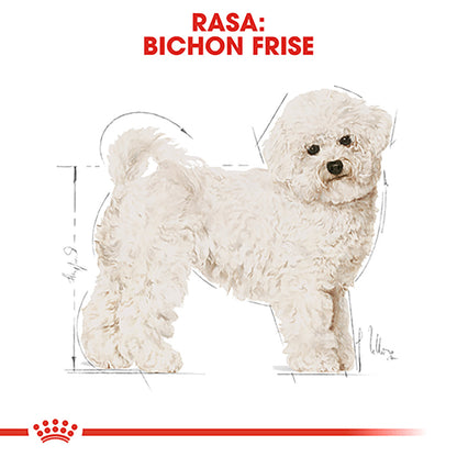 ROYAL CANIN BHN Bichon Frise Adult