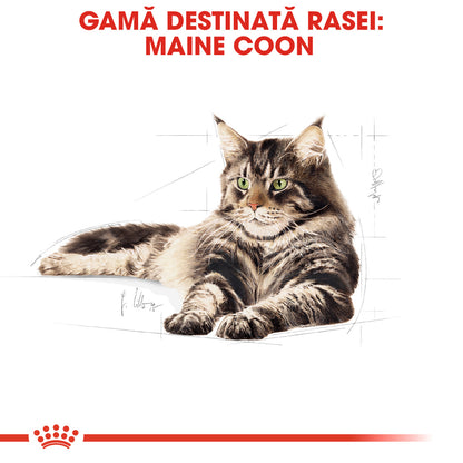 ROYAL CANIN FBN Maine Coon 4kg