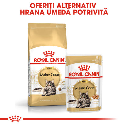 ROYAL CANIN FBN Maine Coon 4kg