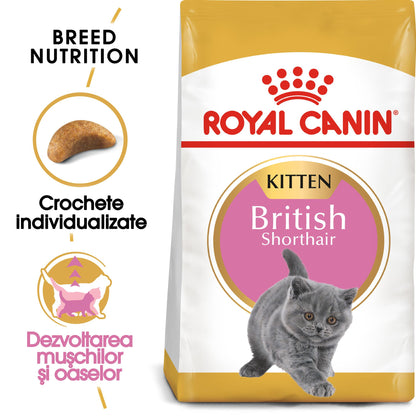 ROYAL CANIN FBN KITTEN British Shorthair
