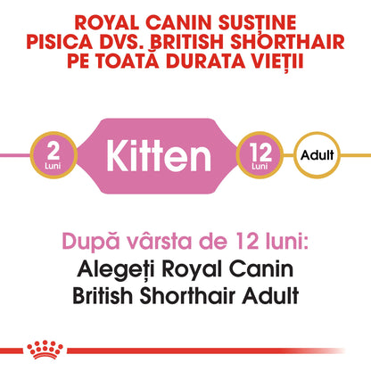 ROYAL CANIN FBN KITTEN British Shorthair
