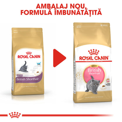 ROYAL CANIN FBN KITTEN British Shorthair