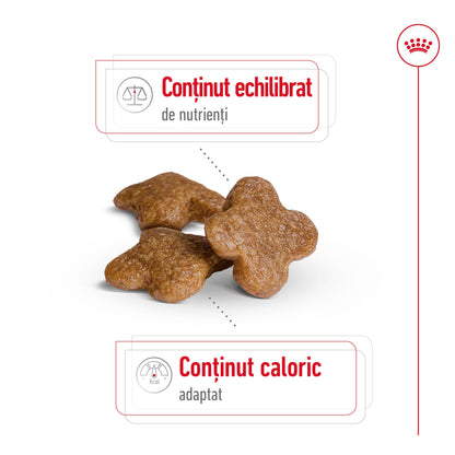 ROYAL CANIN SHN Mini Adult 8+ (cu vârsta mai mare de 8 ani)