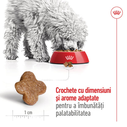 ROYAL CANIN SHN Mini Adult 8+ (cu vârsta mai mare de 8 ani)