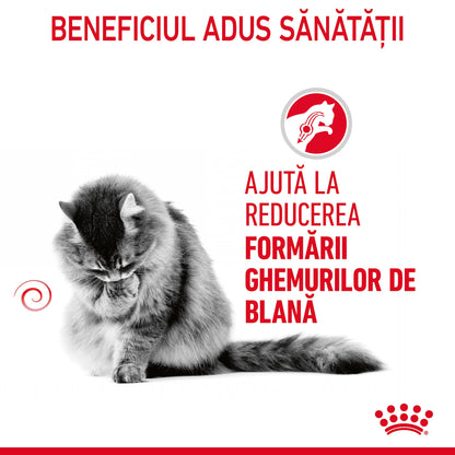 ROYAL CANIN FCN Hairball Care