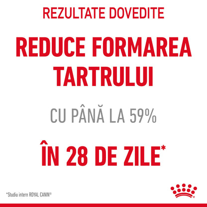ROYAL CANIN FCN Dental Care