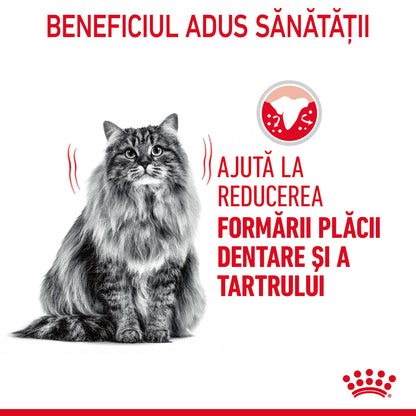 ROYAL CANIN FCN Dental Care