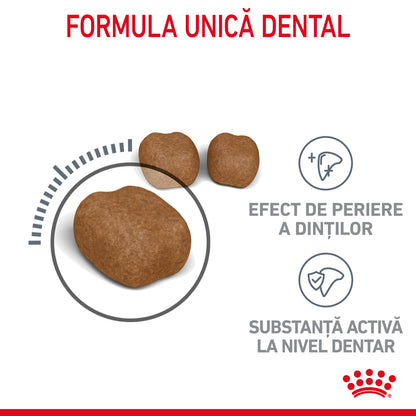 ROYAL CANIN FCN Dental Care